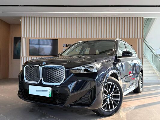 Good price BMW iX1 online